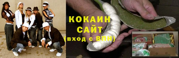 индика Аркадак