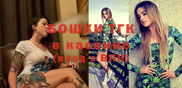индика Аркадак