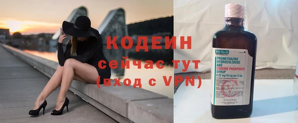 гидра Арсеньев