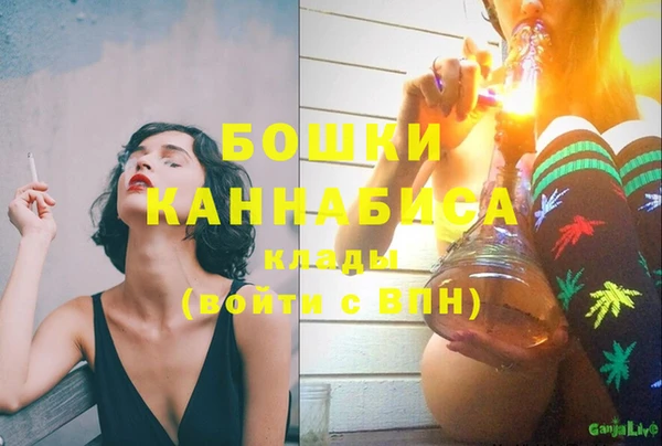индика Аркадак