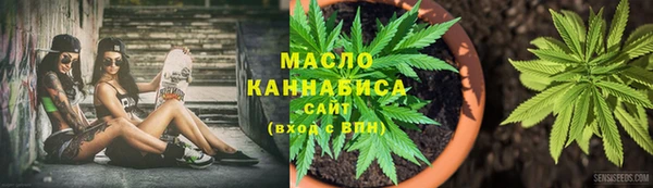 гидра Арсеньев