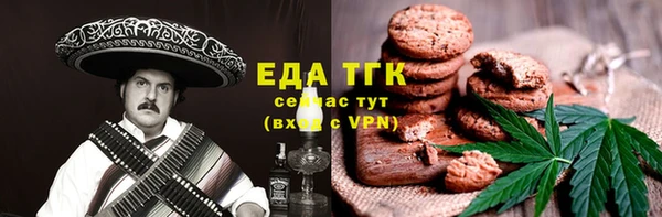 индика Аркадак